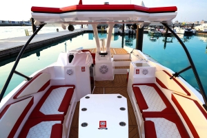Dubai: Luxe privéboot met rondleiding