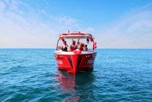 Dubai: Luxe privéboot met rondleiding