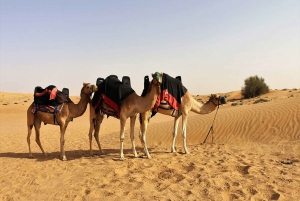 Dubaj: Prywatne poranne pustynne safari hummerem
