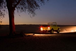 Dubai: Private Nachtsafari & Astronomie mit 3-Gänge-Menü