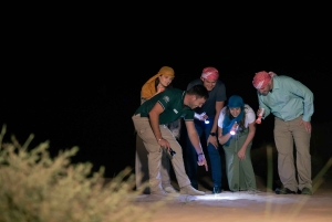 Dubaj: Prywatne nocne safari i astronomia z 3-daniową kolacją