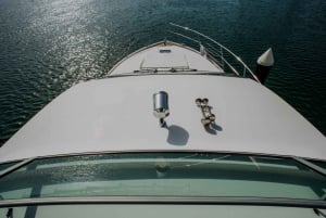 Dubai: Private Scenic Luxury Yacht Ride