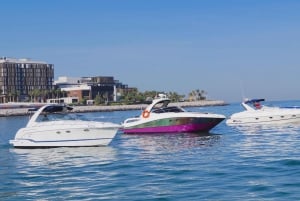 Dubai: Crociera privata a bordo di uno yacht sportivo