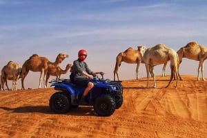 Dubai: Quad & ATV Bike, Red Dune Desert and Safari Adventure