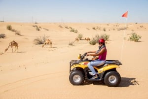 Dubai: Quad Bike (ATV) Safari Morning Tour