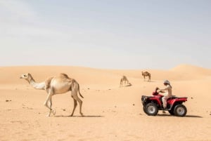 Dubai: fyrhjulingssafari med grillad middag & föreställning