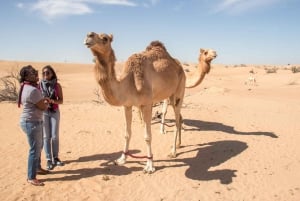 Dubaï : safari en quad, barbecue et spectacles