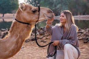 Dubai: Dune Desert Safari aamiaisella ja kameliratsastuksella: Red Dune Desert Safari with Breakfast & Camel Ride