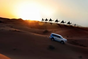 Dubai: Rode duinsafari, kamelenrit & Al Marmoom Oasis BBQ