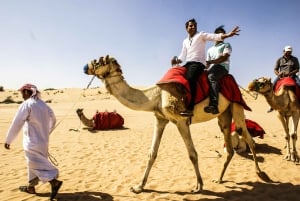 Dubai: Red Dune Safari, Quad Bike, Camel Ride, BBQ Dinner