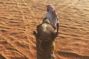 Dubai: Punaiset dyynit -safari nelipyörällä, hiekkalaudalla ja kameleilla.