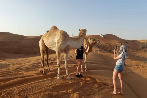 Dubai: Red Dunes Evening Quad Bike, Dune Blast with BBQ