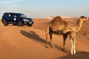 Dubai: Red Dunes Ilta Quad Bike, Dune Blast with BBQ (Dyyni räjähdys BBQ)