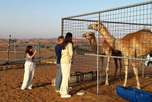 Dubai: Red Dunes Ilta Quad Bike, Dune Blast with BBQ (Dyyni räjähdys BBQ)