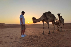 Dubai: Red Dunes Ilta Quad Bike, Dune Blast with BBQ (Dyyni räjähdys BBQ)