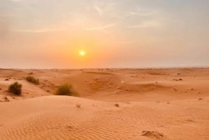 Dubai: Red Dunes Morning Desert-rit met quad, buggy of 4x4