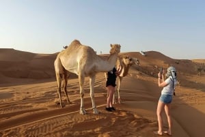 Dubaï : Promenade matinale dans le désert des Dunes rouges en quad, buggy ou 4x4