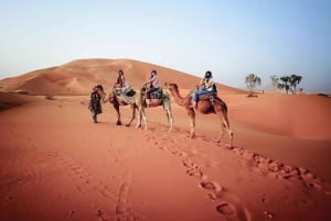 Dubaï : Promenade matinale dans le désert des Dunes rouges en quad, buggy ou 4x4