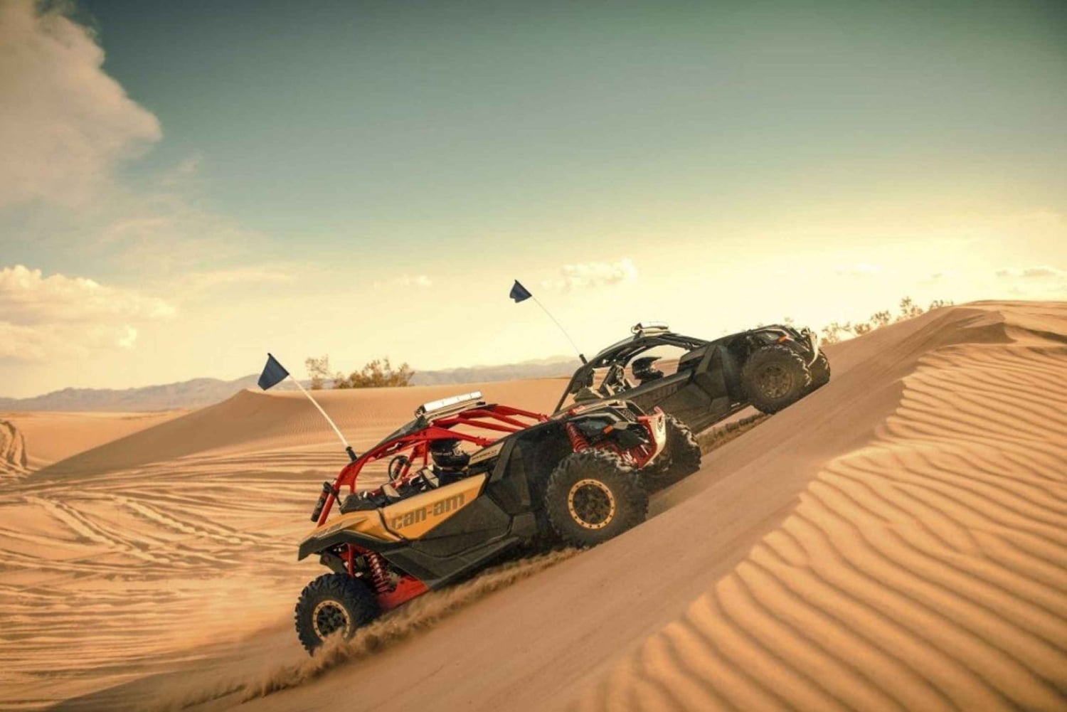 Dubaï : Red Dunes Quad Bike, Dune Buggy, Camel & Refreshments (en anglais)