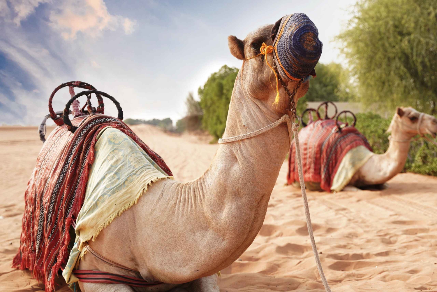 Дубай: экскурсия по красным дюнам на квадроцикле или Side by Side