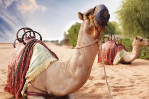 Дубай: экскурсия по красным дюнам на квадроцикле или Side by Side