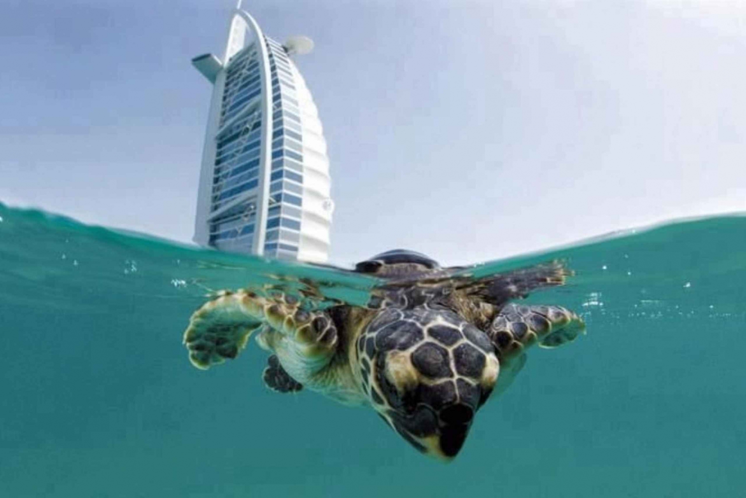 Dubai: Reef of Burj Al Arab Scuba Diving Experience