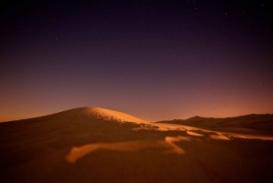 Dubai: Safari, Quad Bike, Camel Ride, and Buffet Dinner