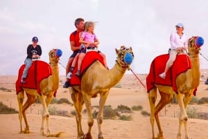 Safari, quadbike, kamelridning og buffetmiddag