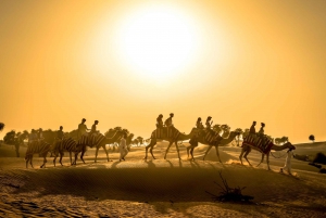 Dubai: Sahara Dunes & Camel Caravan with BBQ at Al Khayma