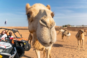 Dubai: Aventura no deserto guiada por um buggy com tração às quatro rodas