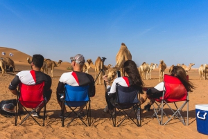 Dubai: Aventura no deserto guiada por um buggy com tração às quatro rodas