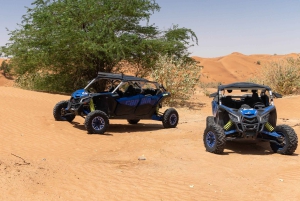Dubai: Aventura no deserto guiada por um buggy com tração às quatro rodas
