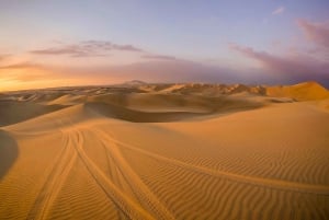 Dubai: Self-Drive Adventure with 2000cc Dune Buggy & BBQ