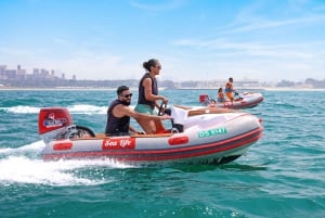 Dubai: Self-Drive Boat Experience for 1 or 2 People