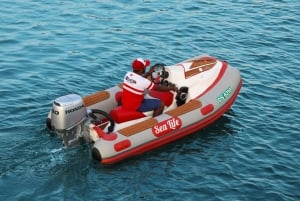 Dubái: experiencia en barco para 1 o 2 personas