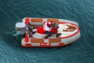 Dubái: experiencia en barco para 1 o 2 personas