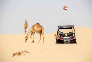 Dubai: Aavikkomönkijäsafari sekä nouto- ja paluukuljetus