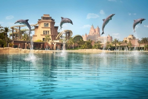 Dubai: Dolphin Encounter at Atlantis Waterpark