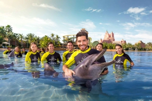 Dubai: Shallow Water Dolphin Encounter at Atlantis