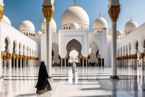 Dubai: Moschea dello Sceicco Zayed e tour panoramico di Abu Dhabi