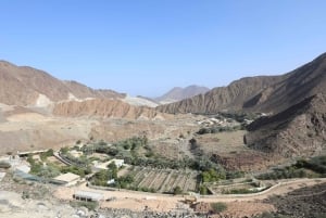 Dubai: Sheikh Zayed Mosque, Fujairah and Khorfakkan Tour