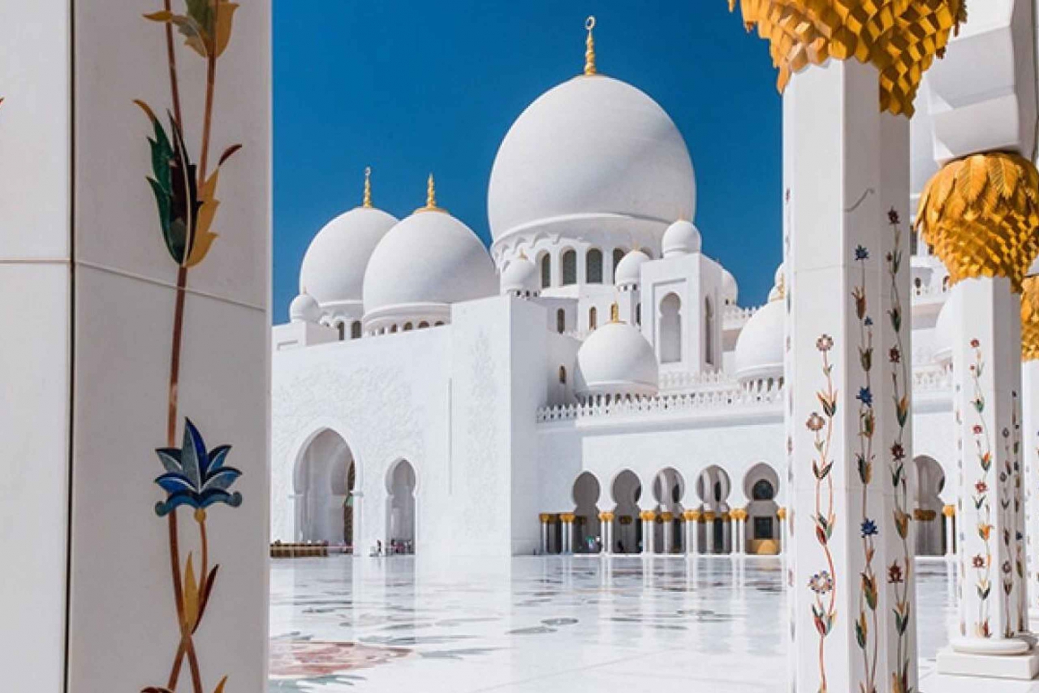 Dubai: Tour panoramico di un giorno della Moschea e del Palazzo dello Sceicco Zayed