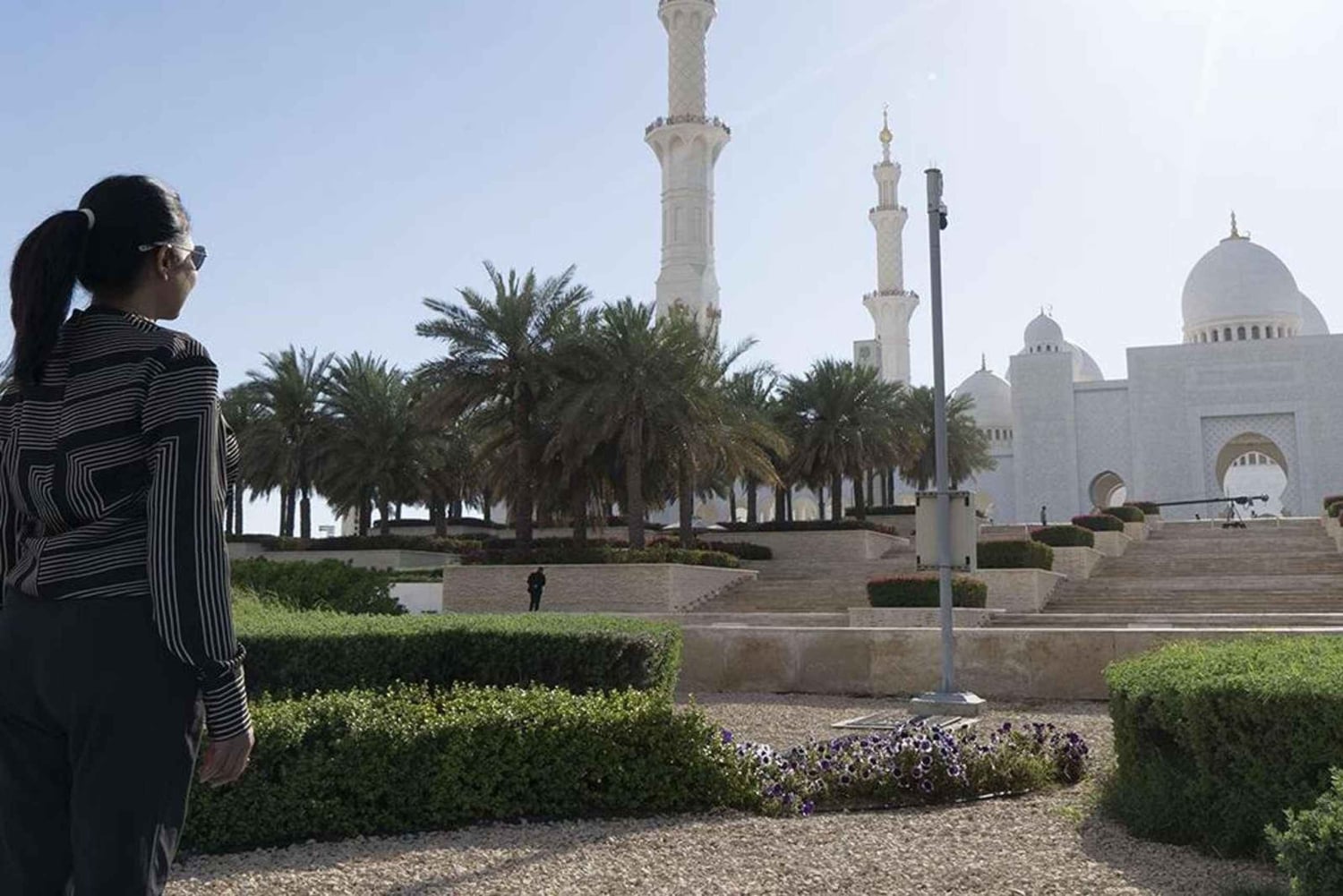 Dubai: Moschea Sheikh Zayed e ingresso a SeaWorld con trasferimento