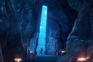 Dubai: Sheikh Zayed Mosque & SeaWorld Entry w/ Transfer