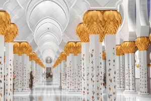 Dubai: Moschea Sheikh Zayed e ingresso a SeaWorld con trasferimento