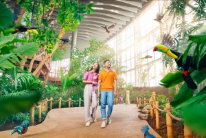 Dubai: Moschea Sheikh Zayed e ingresso a SeaWorld con trasferimento