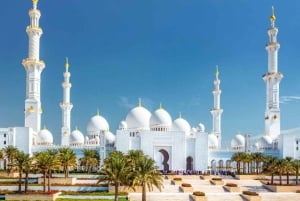 Dubai: Sheikh Zayed Mosque & Warner Bros w/ Transfer