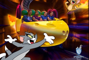 Dubai: Scheich-Zayed-Moschee & Warner Bros. mit Transfer