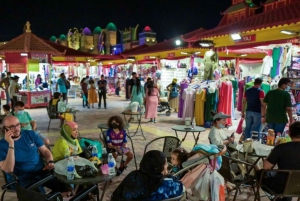 Dubai: Private Shopping City Tour and Global Village Tickets