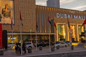 Dubai: Private Shopping City Tour and Global Village Tickets